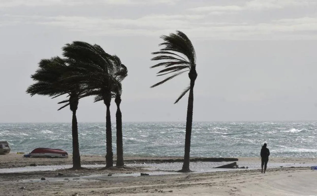 El Viento Y La Lluvia Causan Casi 400 Incidencias En Andalucía Este ...